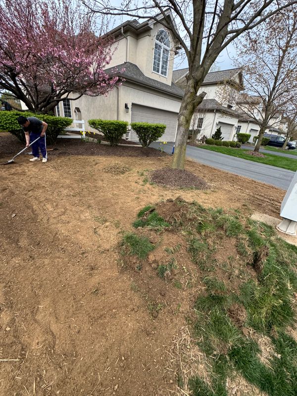 Landscaping