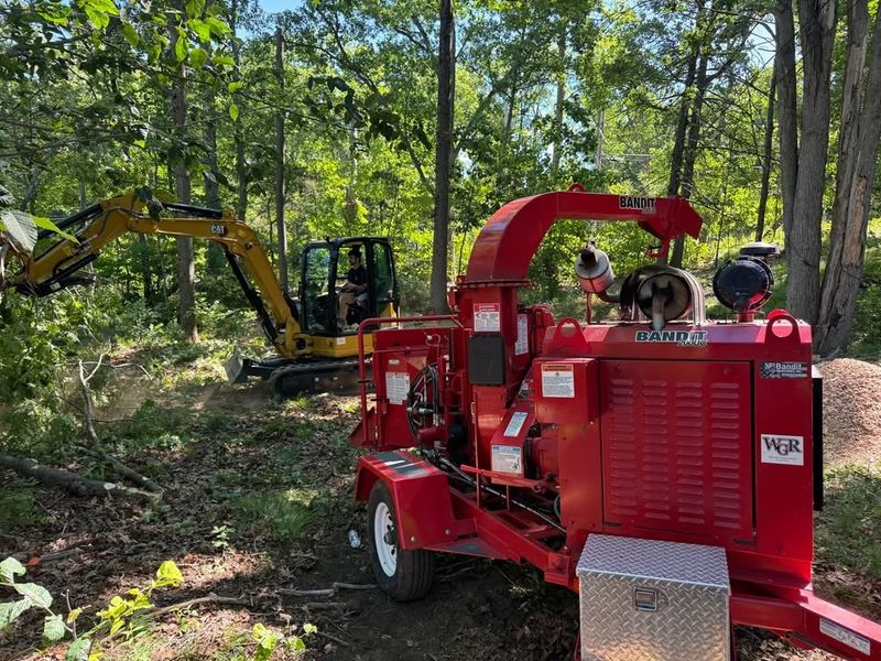 Tree Removal