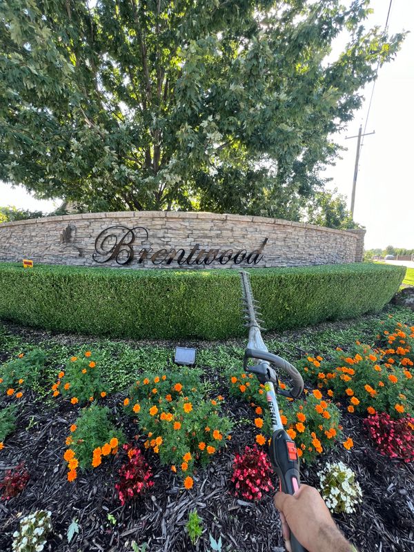 Landscape Design & Installation