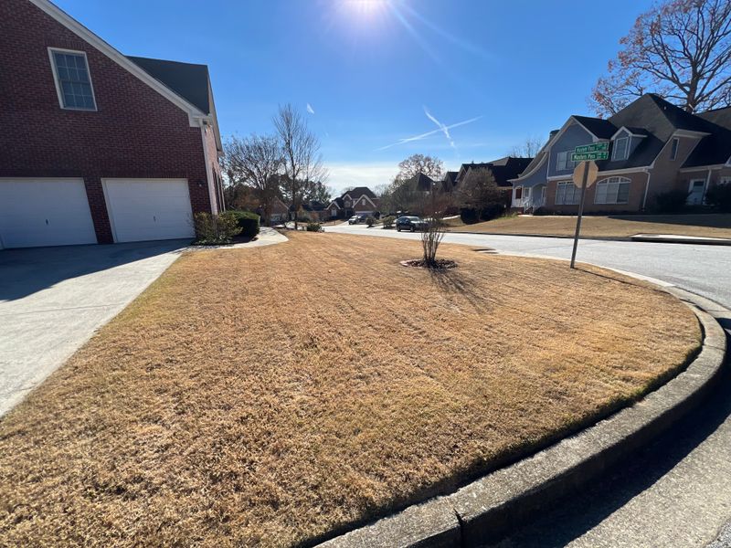 Lawncare
