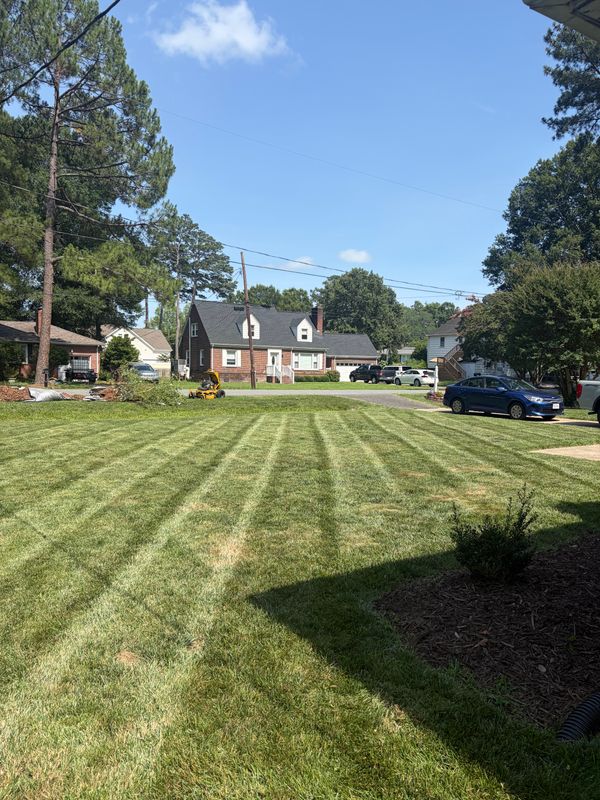Property Maintenance