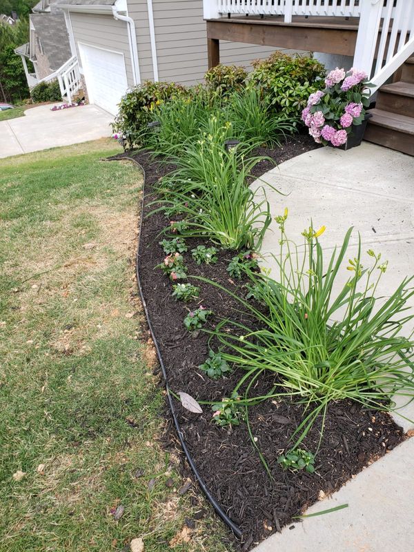Landscape Design