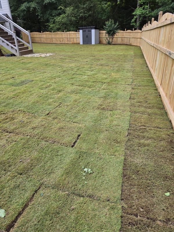 Sod Installation