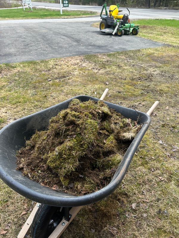 Fall Clean Up