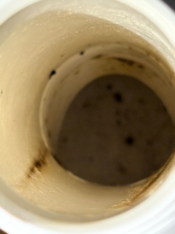Diagnose drain flies,