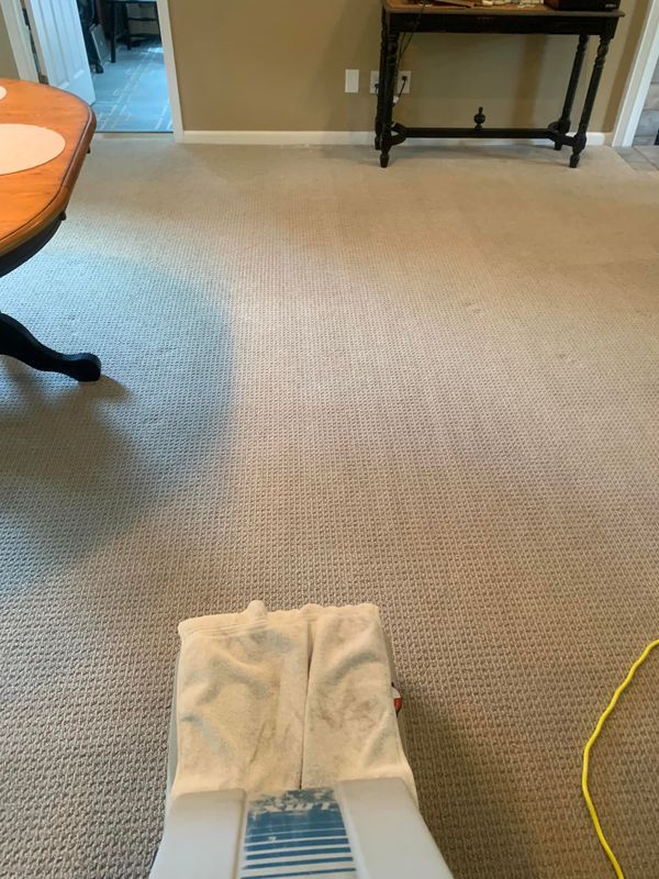 Carpet Cleaning