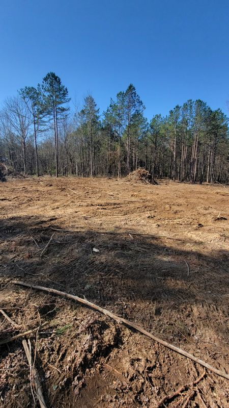 Land Clearing
