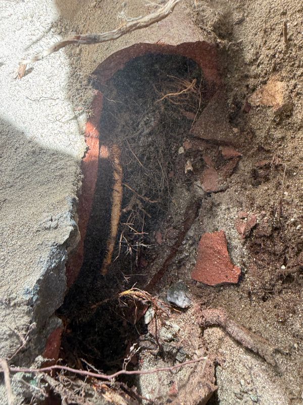 Pipe Repair and Replacement