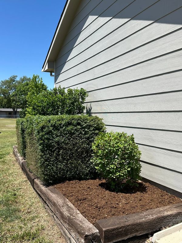 Lawn Maintenance