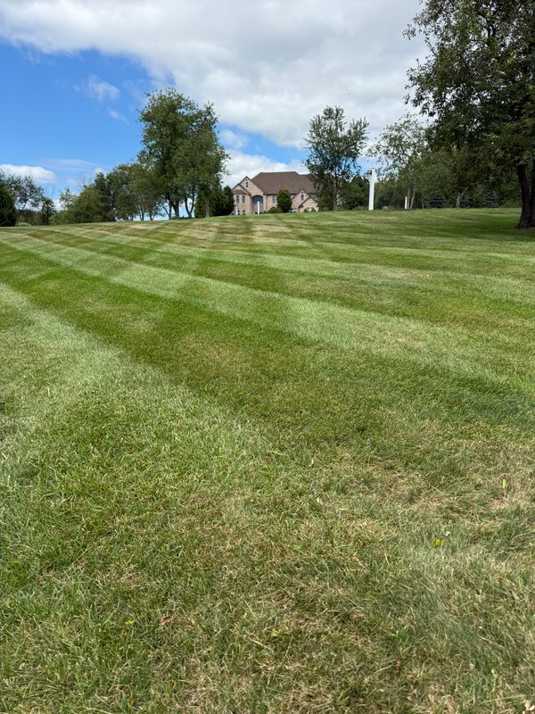 Lawn Maintenance