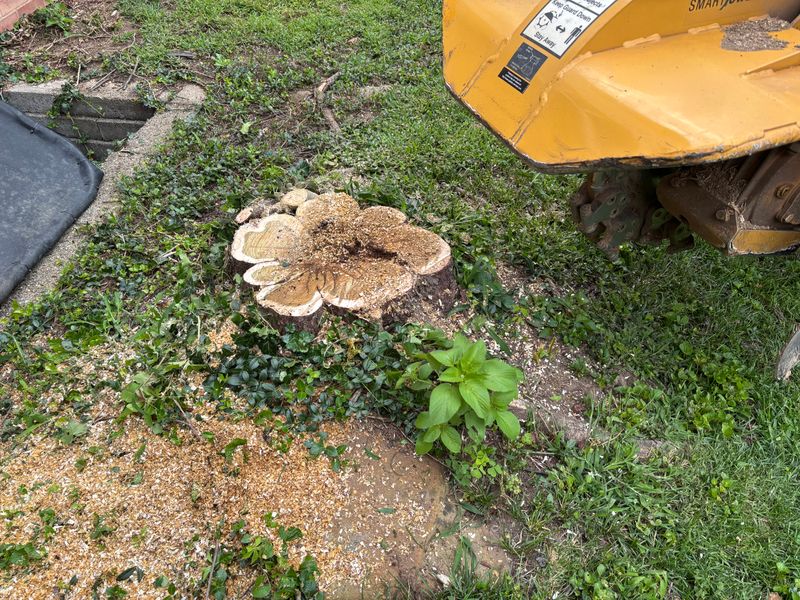 Stump Removal