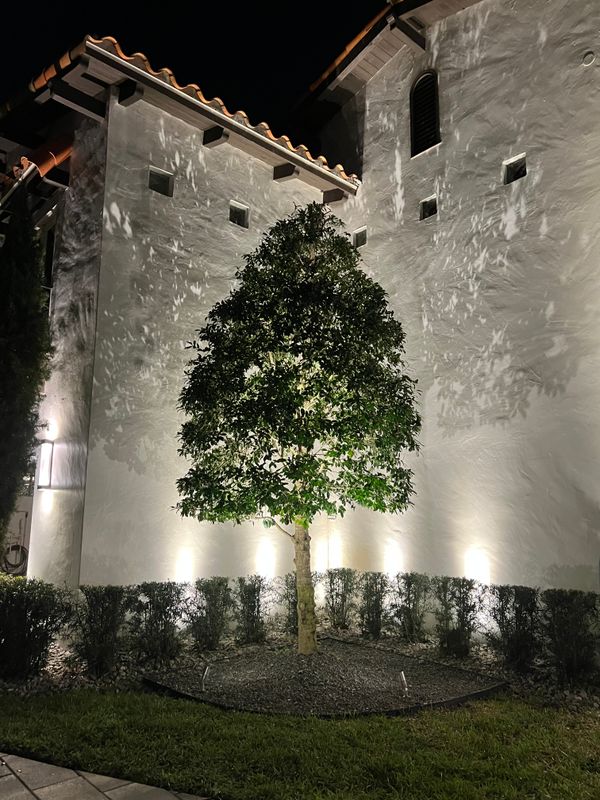 Landscape Lighting