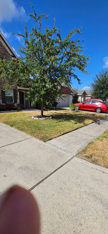 Hardscaping Landscaping