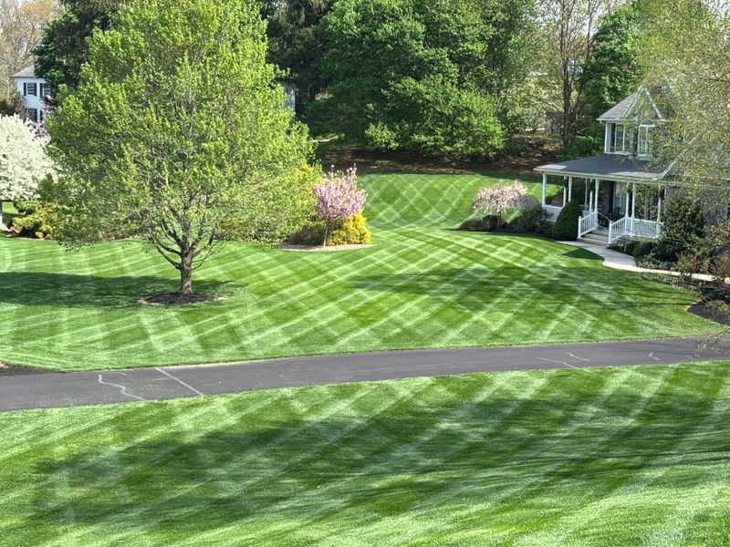 Lawn Mowing
