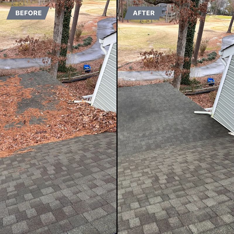 Gutter Cleaning
