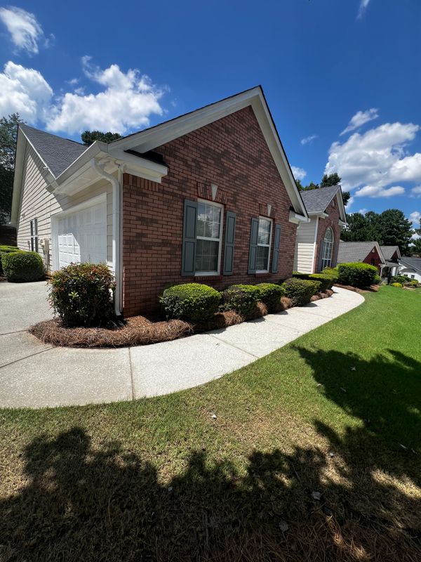 Lawn Care and Maintenance