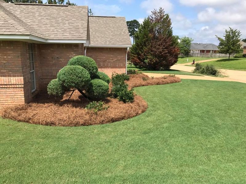 Landscape Design & Installation