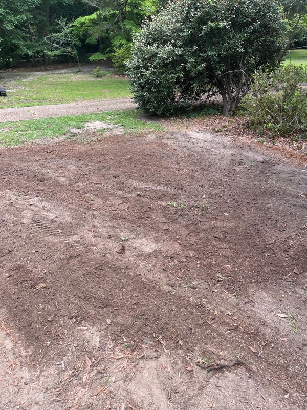 Stump Removal