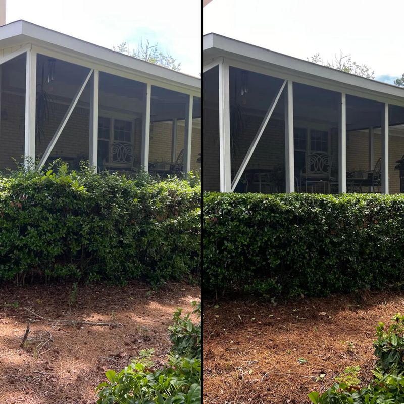 Tree and Shrub Care