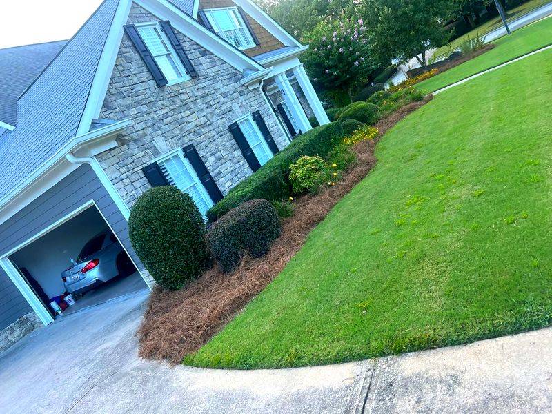Lawn Maintenance gallery