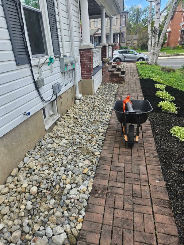 Plant & Shrub Installations
