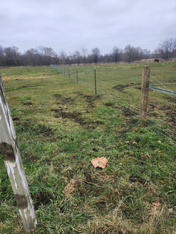 Fence Repair