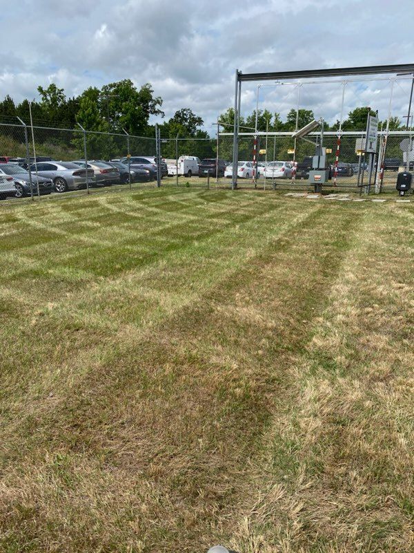 Lawn Aeration