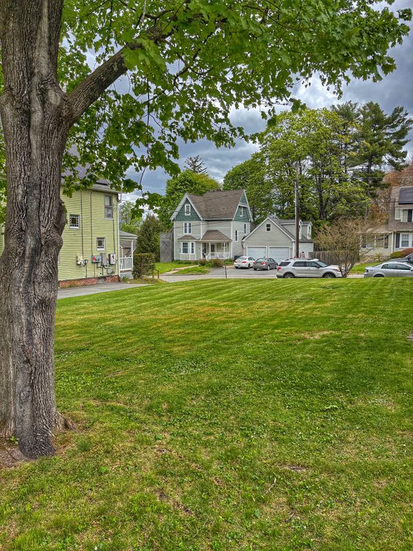 Lawn Maintenance