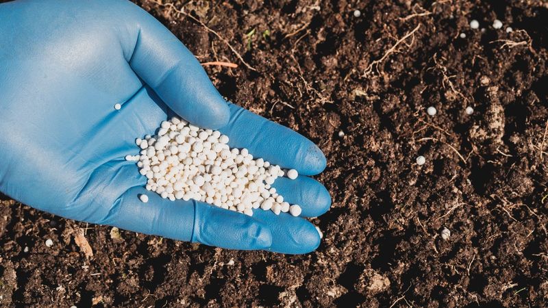Fertilizing/insect Disease Control