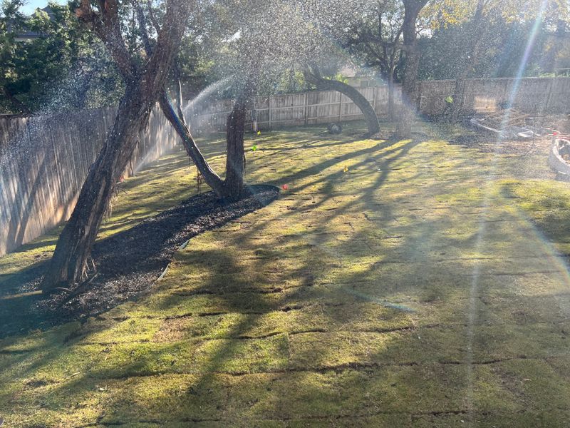 Mulch Installation