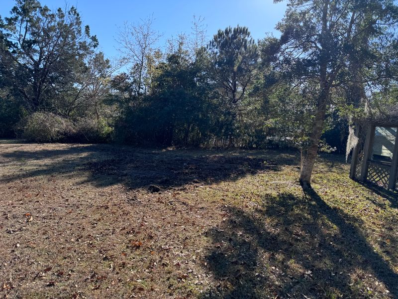 Brush Cutting