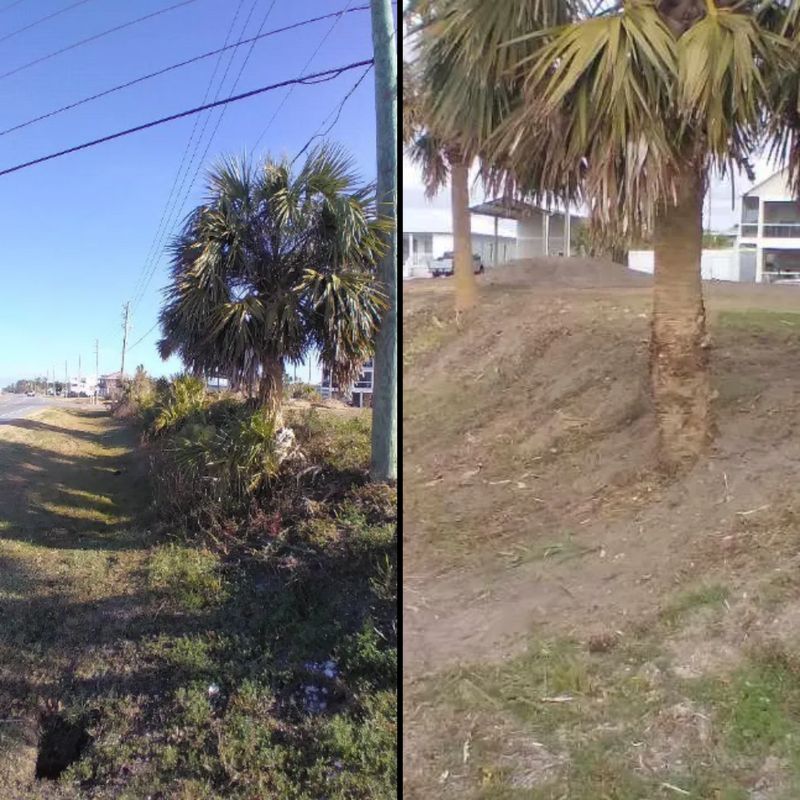 Before & Afters