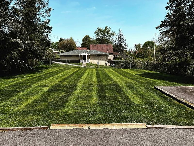 Lawn Maintenance