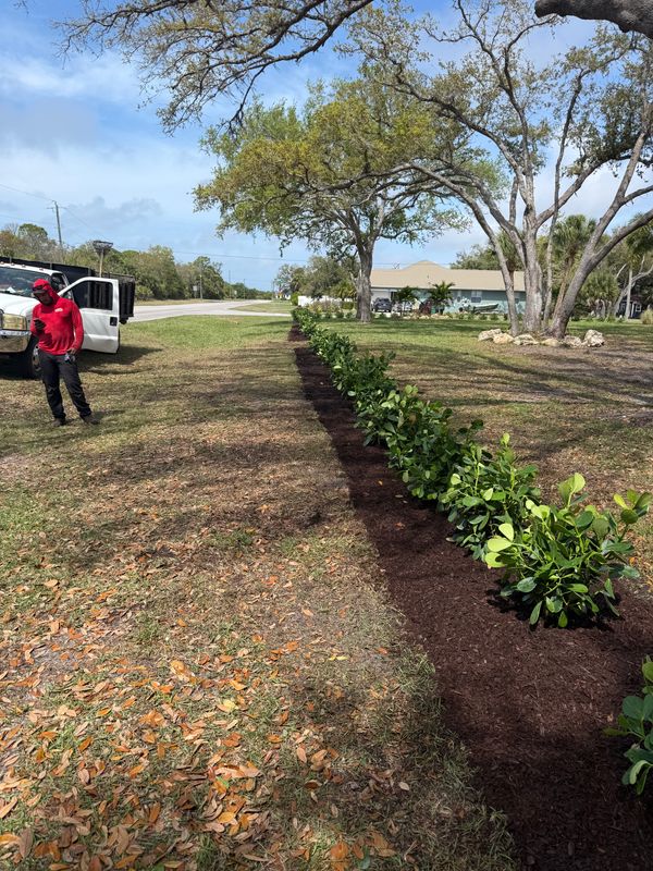 Mulching / Sod / Stones