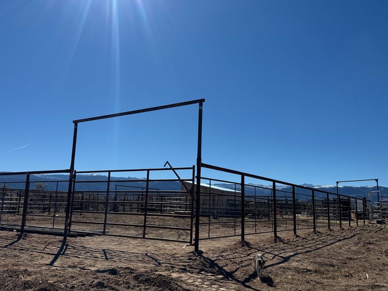 Fence Installation