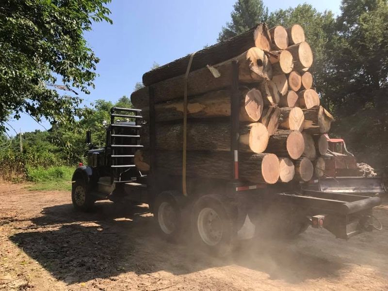 Large Acreage Clearing