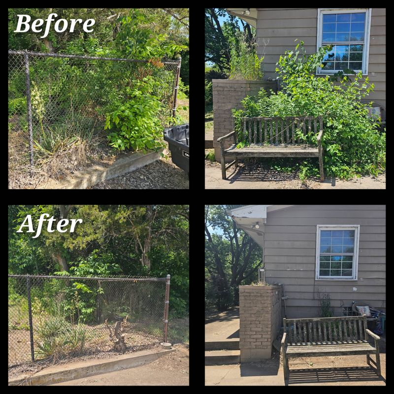 Fall and Spring Clean Up