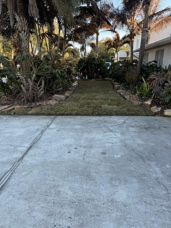 Mulch Installation