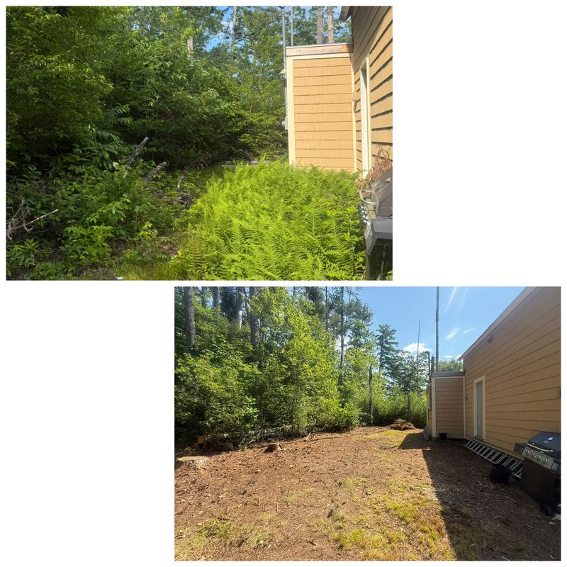 Brush Removal