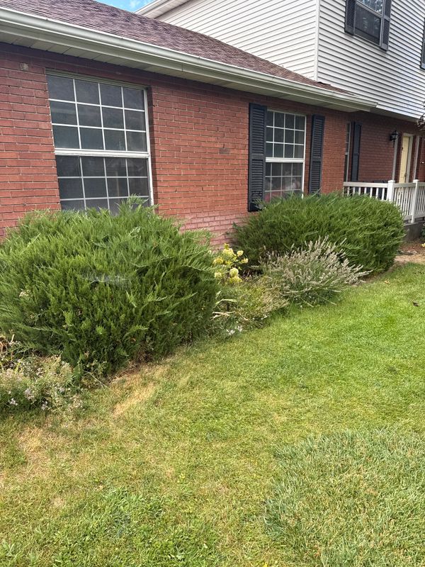 Other Lawn Services