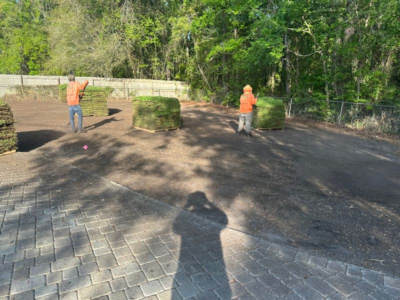 Sodding