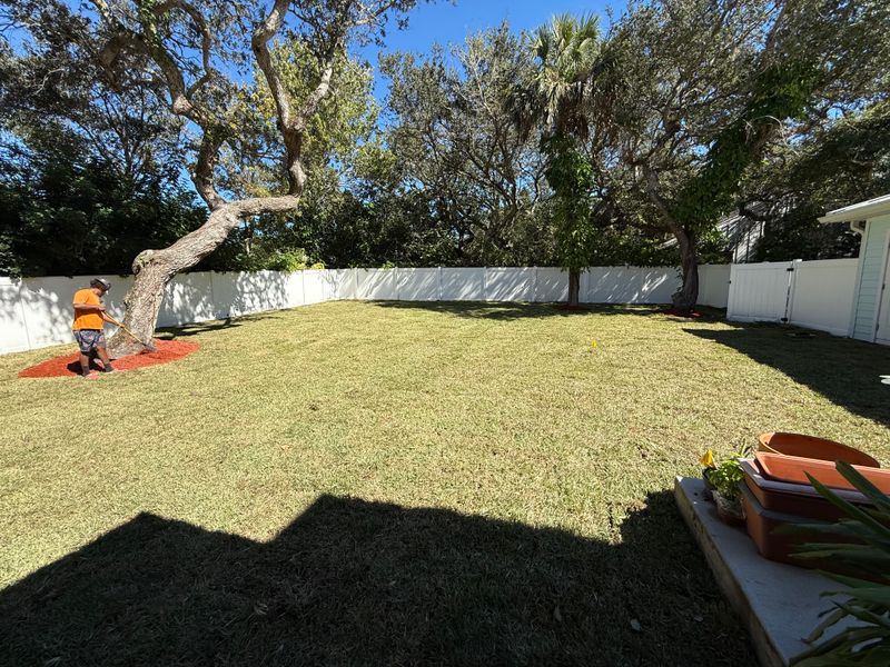 Landscape design and installation