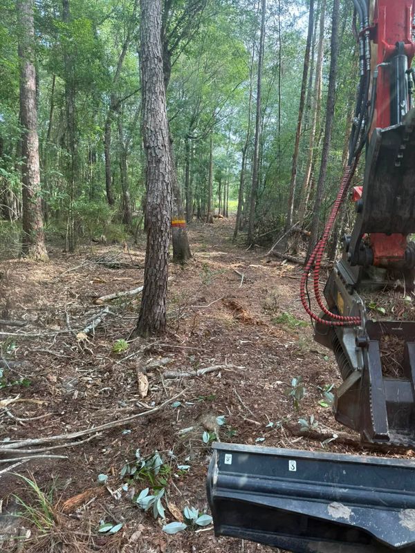 Land Clearing