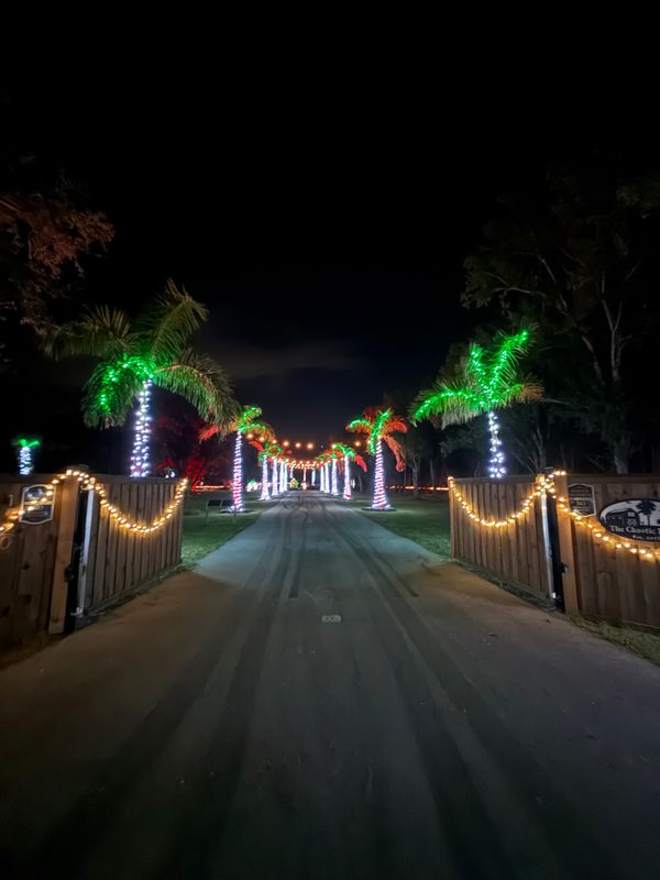 Christmas Light Installation 