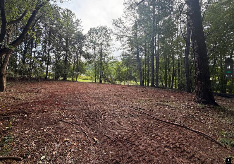 Transforming Landscapes: Precision Clearing by CR Land Services