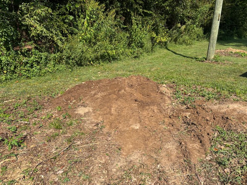 Stump Removal
