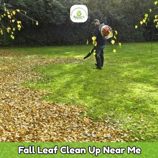 Lawn Care & Maintenance