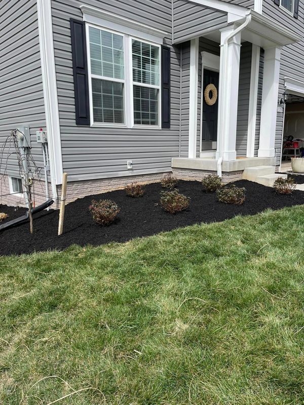 Landscaping