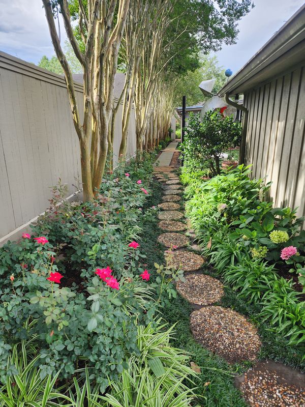 Shrub Trimming