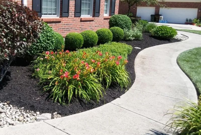 Tree And Shrub Maintenance